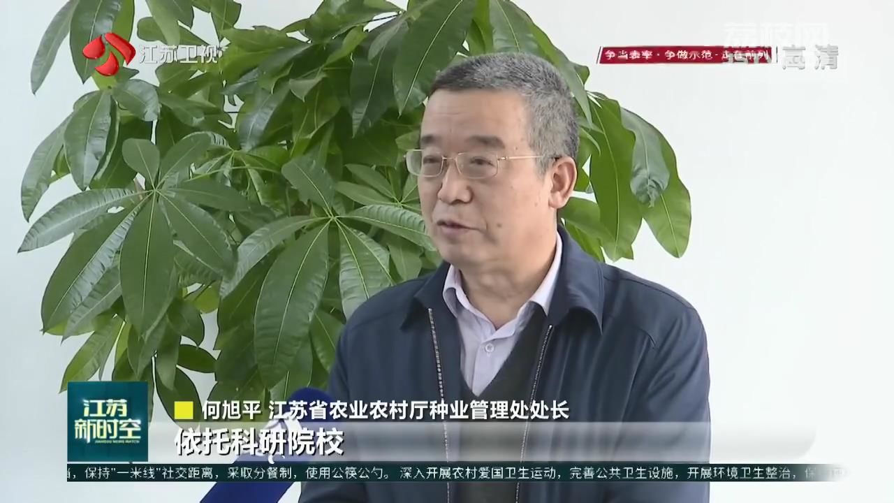 江苏省农业农村厅种业管理处处长何旭平说'十四五'