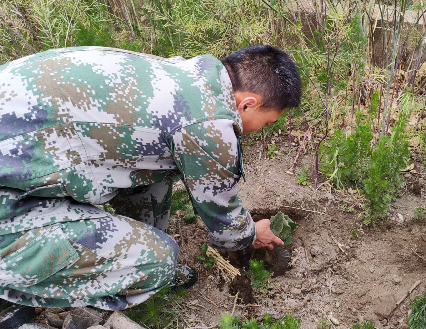 "开山岛民兵哨所副所长孙存东介绍,移栽的品种除了青椒,吊瓜,西红柿